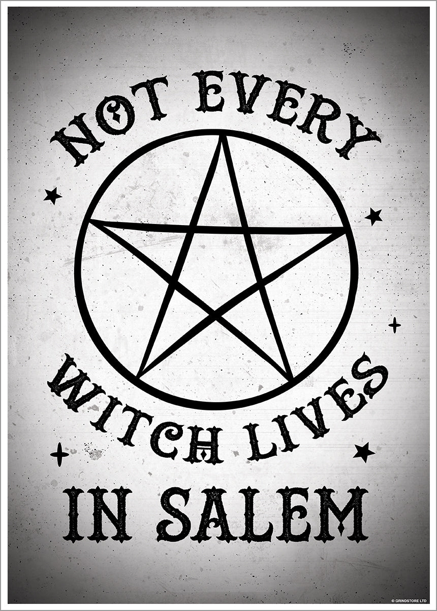 Not Every Witch Lives In Salem Mini Poster