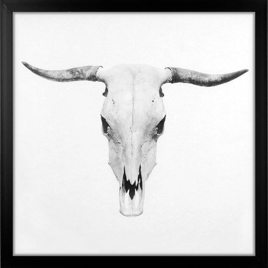 Bull Skull Large Framed Canvas Print