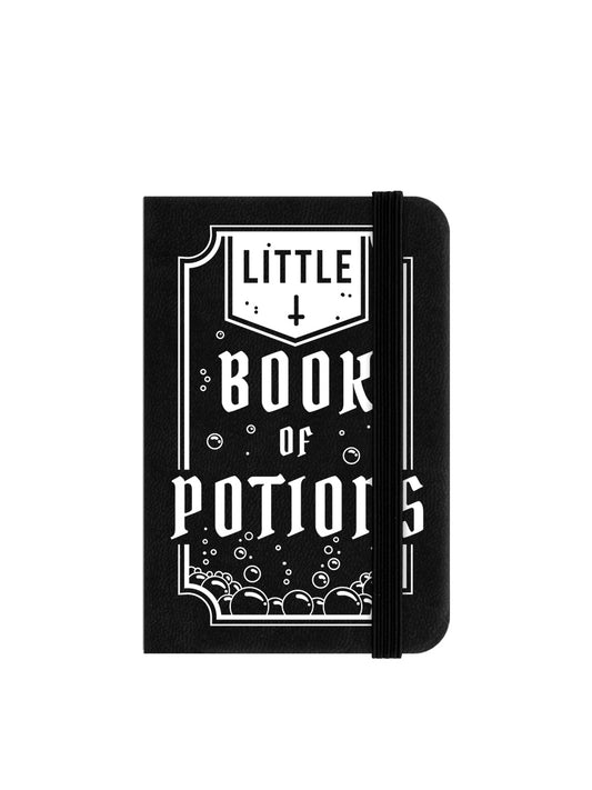 Little Book Of Potions Mini Notebook