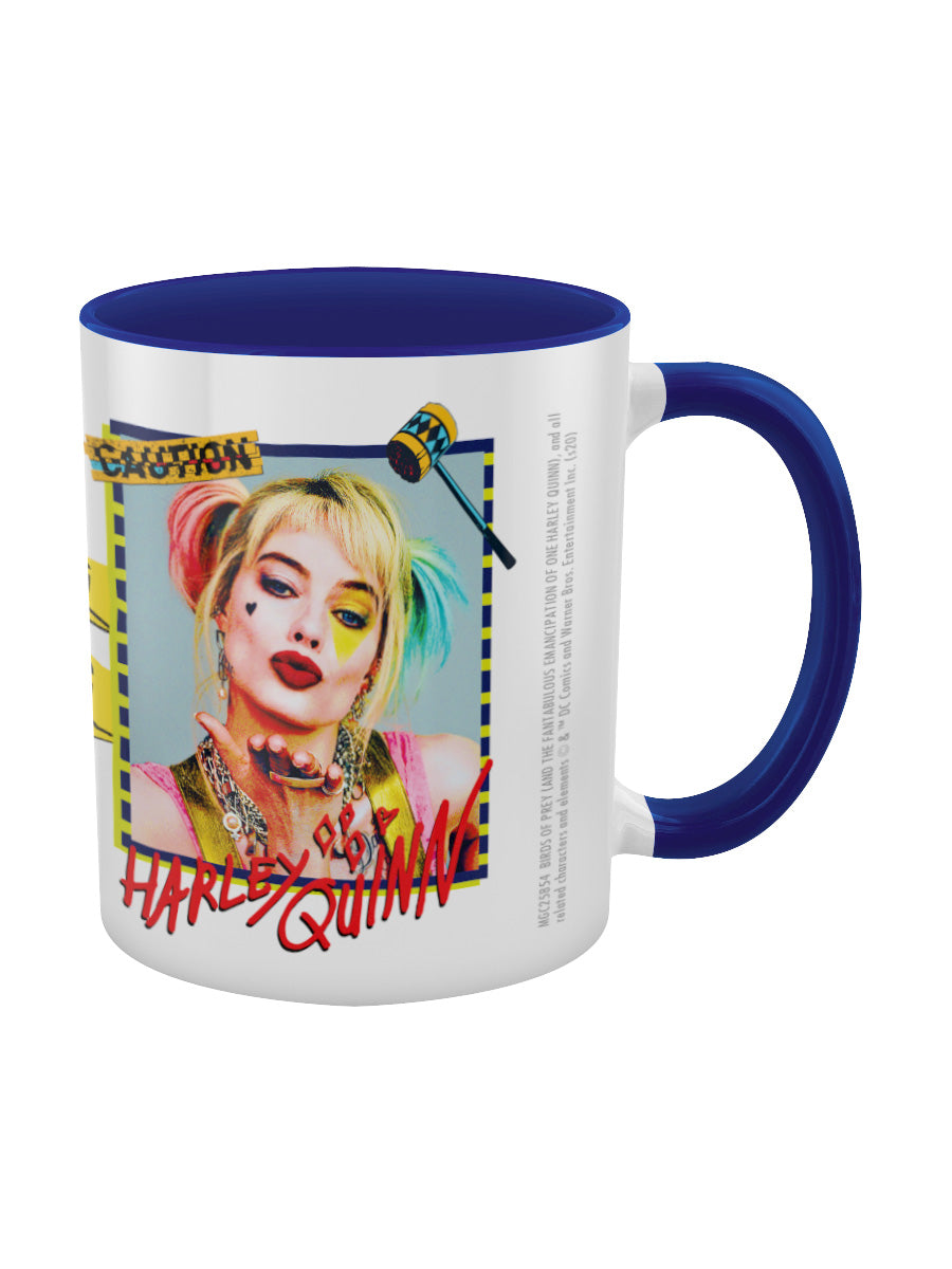 Birds Of Prey (Harley Quinn Warning) Blue Coloured Inner Mug