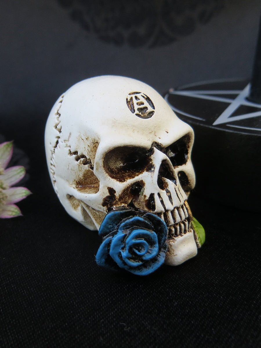 Alchemy Miniature Collectables - Alchemist Skull