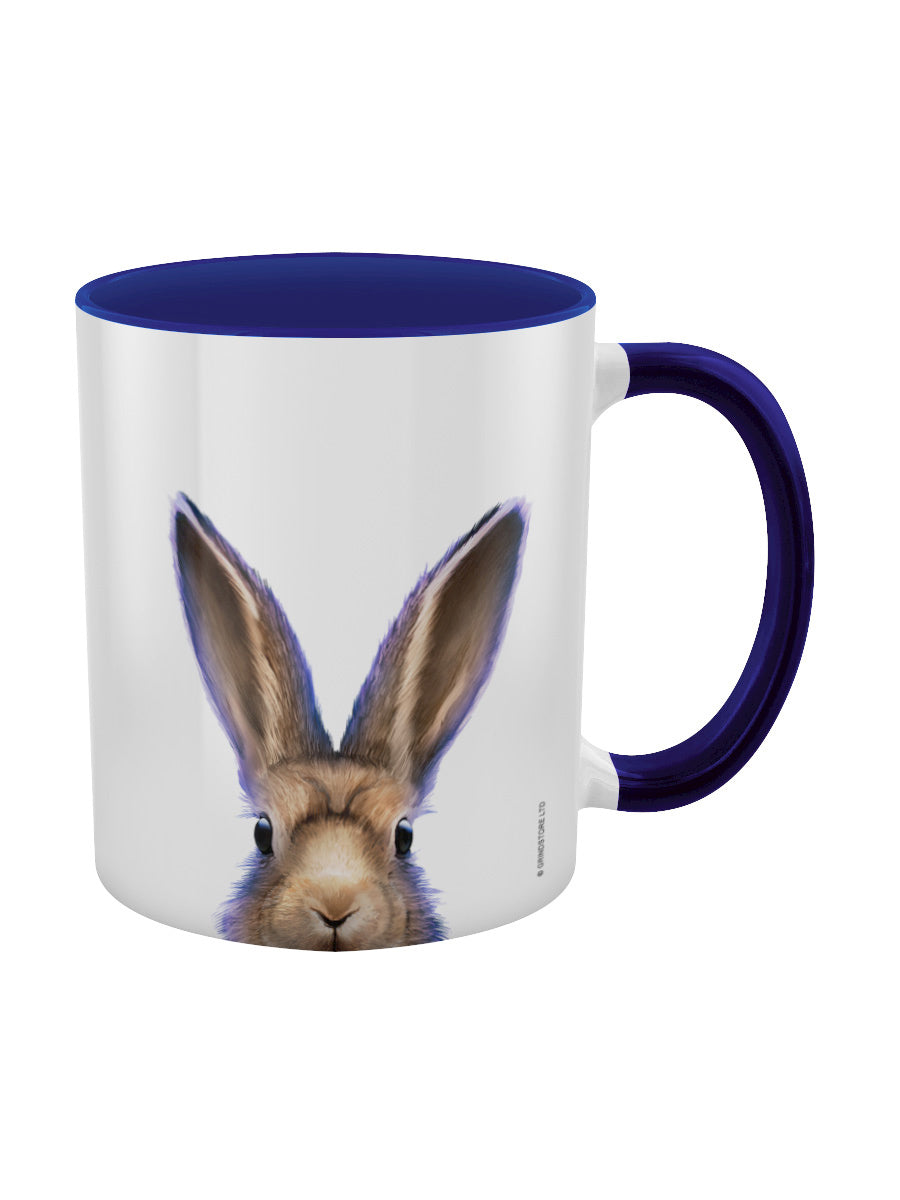 Inquisitive Creatures Hare Blue Inner 2-Tone Mug