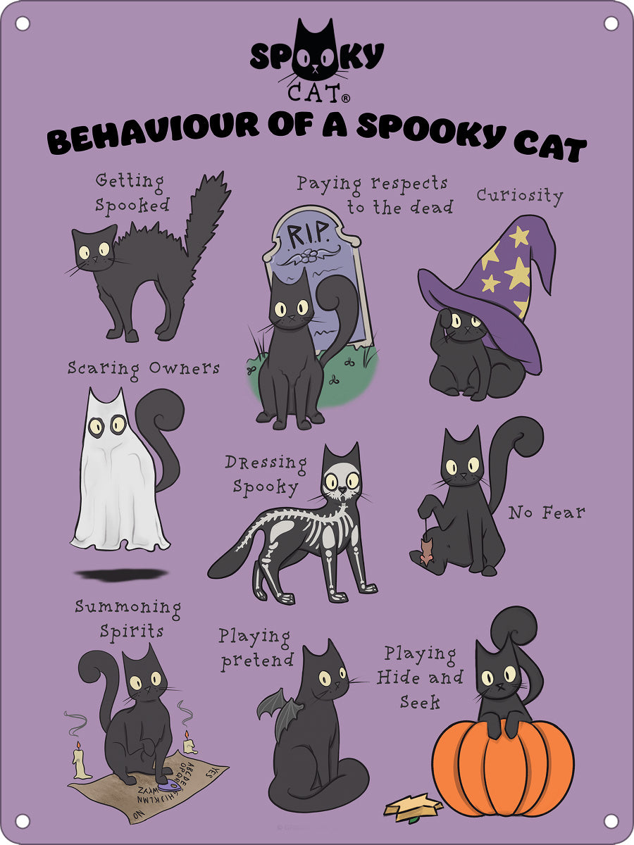 Behaviour Of A Spooky Cat Mini Tin Sign
