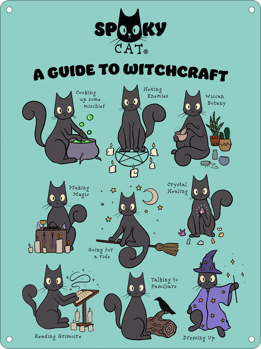 Spooky Cat A Guide To Witchcraft Mini Tin Sign