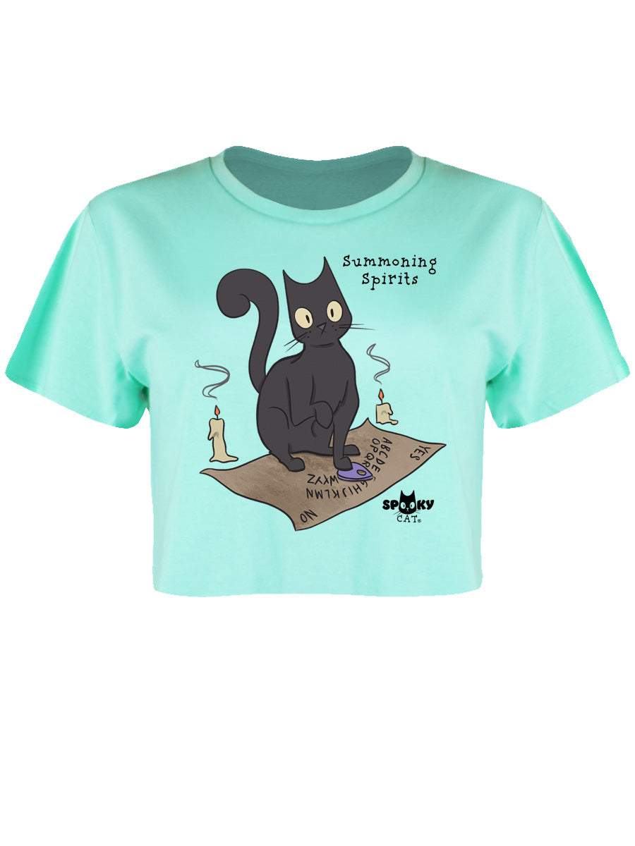 Spooky Cat Summoning Spirits Peppermint Boxy Crop Top