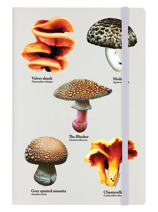 A Sproutness Of Mushrooms Cream A5 Hard Cover Notebook