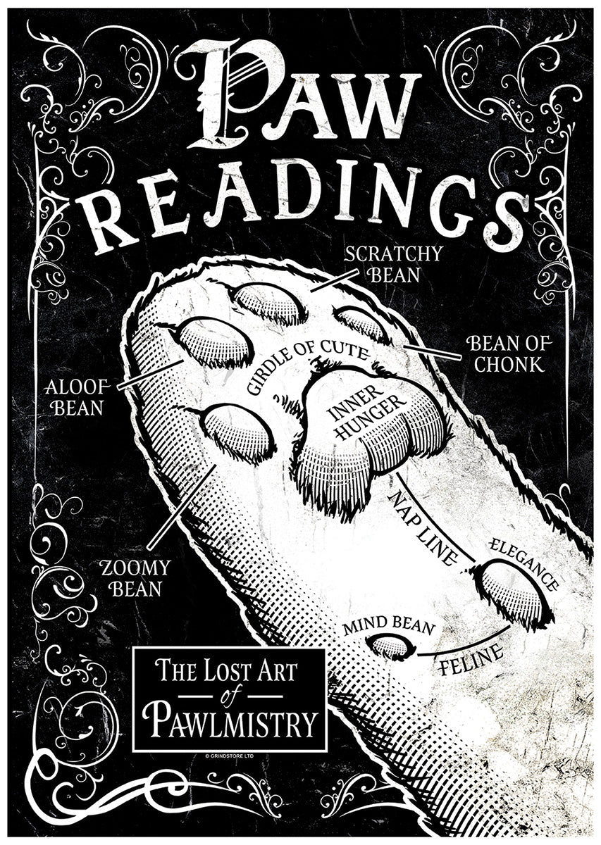 cat paw palm reading Paw Readings Mini Poster