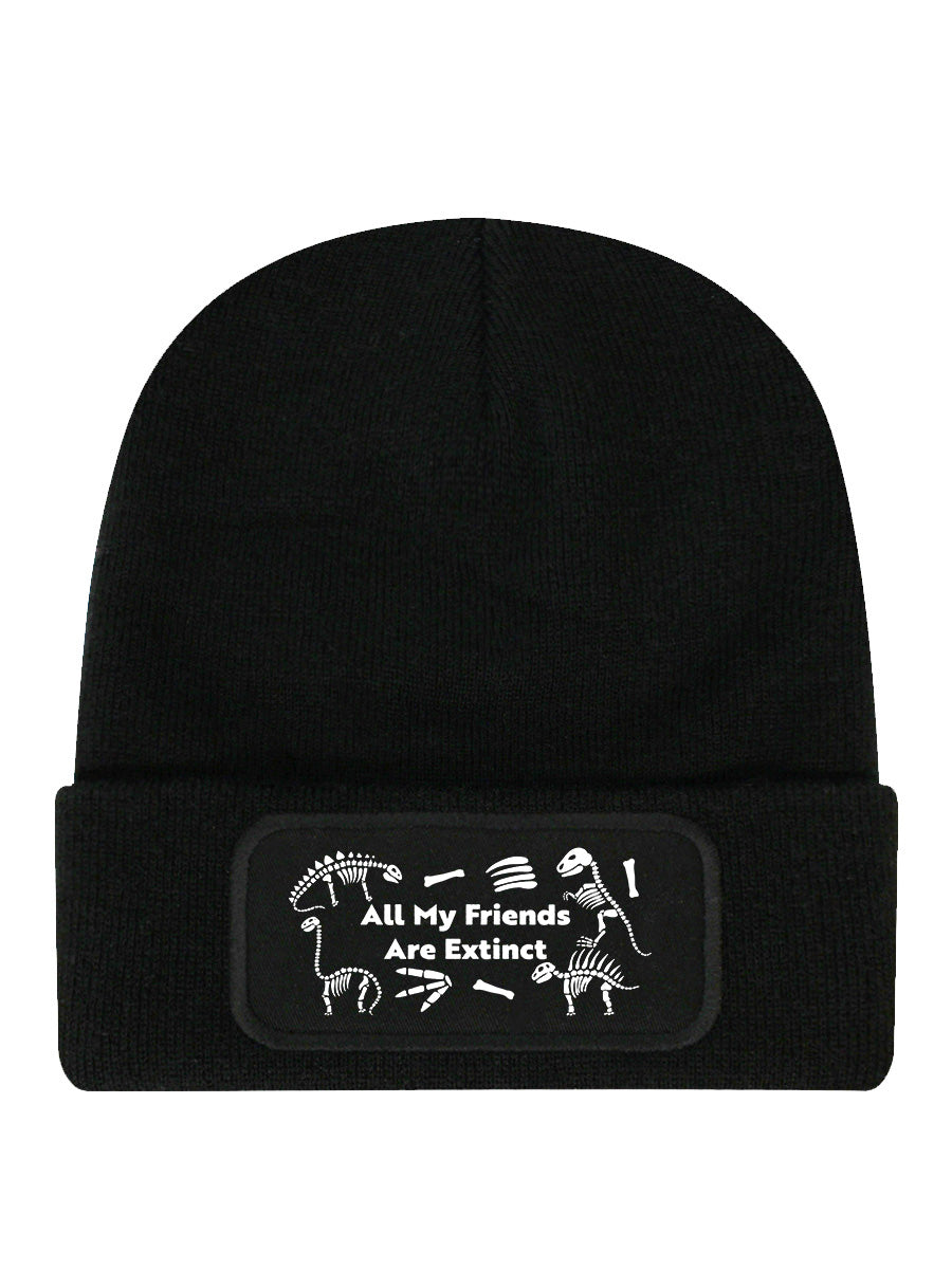 Dinosaur All My Friends Are Extinct Black Beanie