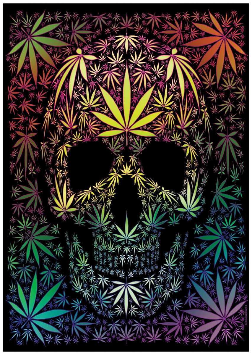 Dope Skull Rainbow Mini Poster