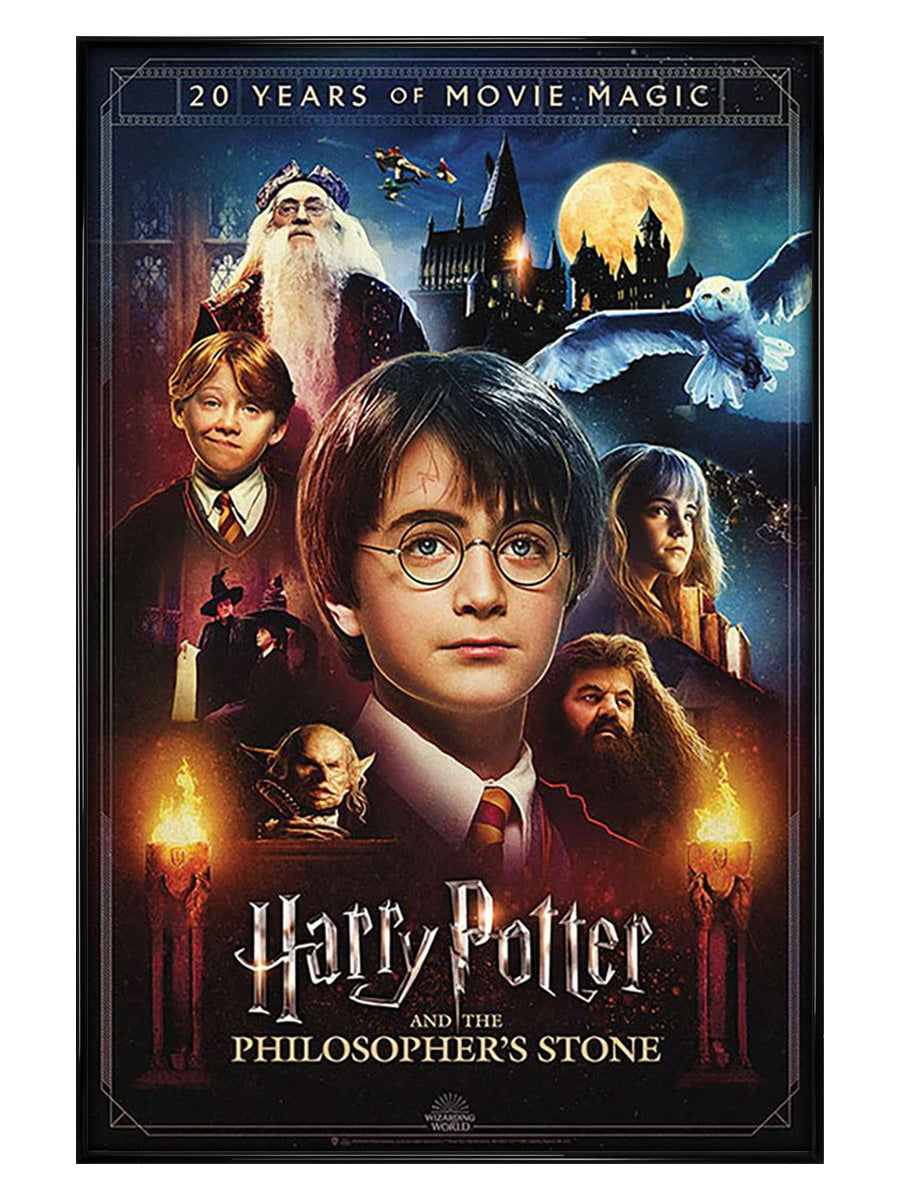 Harry Potter (20 Years Of Movie Magic) Maxi Poster