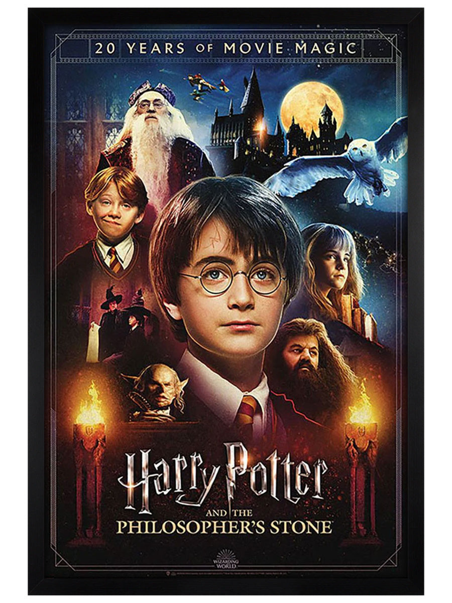Harry Potter (20 Years Of Movie Magic) Maxi Poster