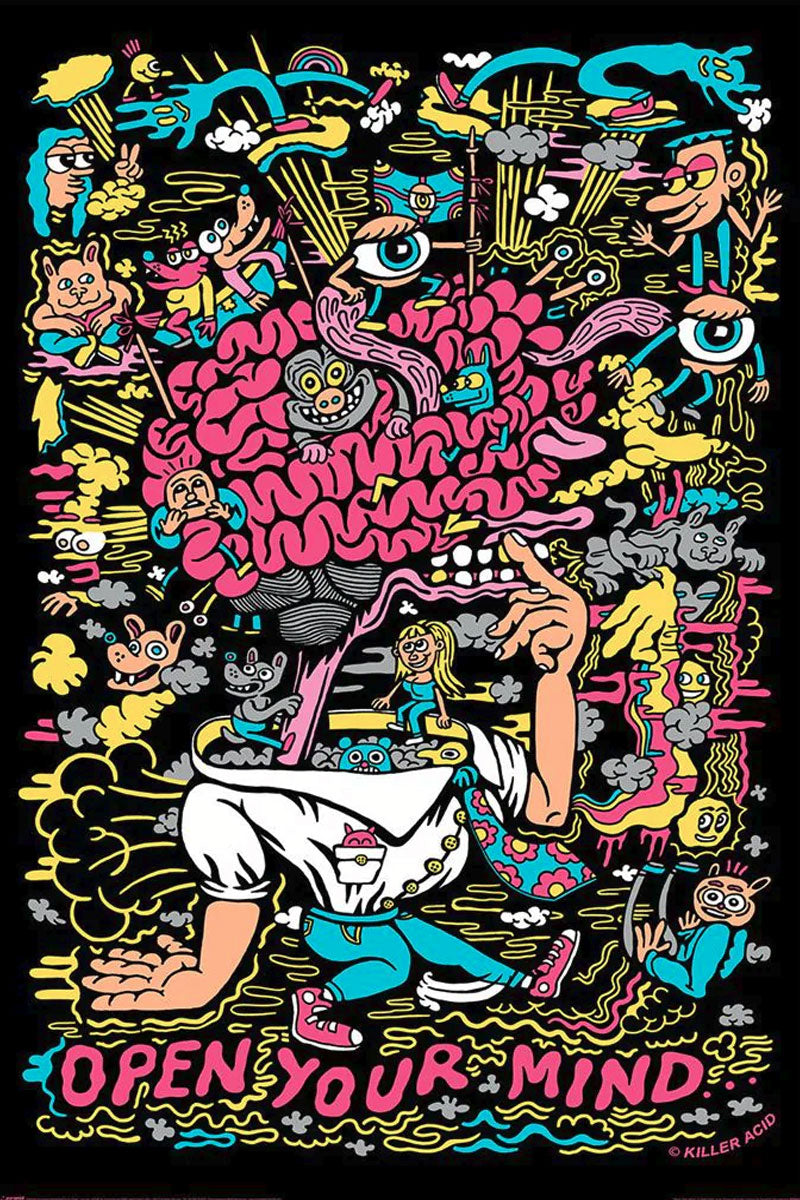 Killer Acid Open Your Mind Maxi Poster