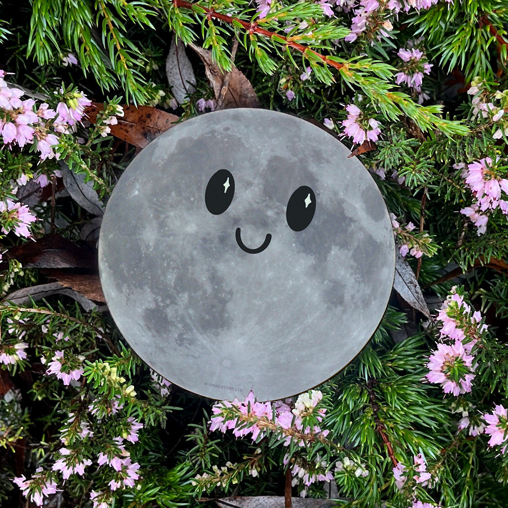 Moon Face Coaster