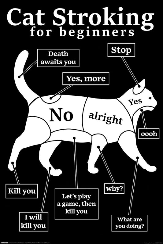 Cat Stroking For Beginners Maxi Poster