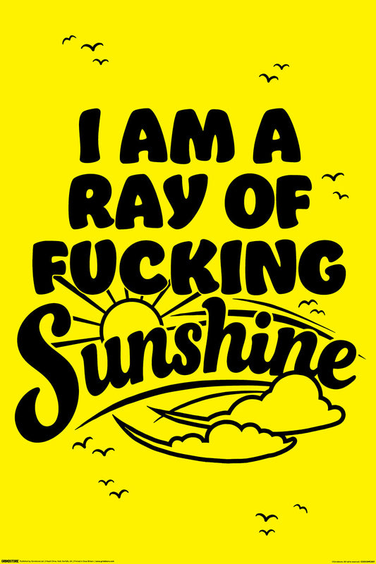 I Am A Ray Of Fucking Sunshine Maxi Poster