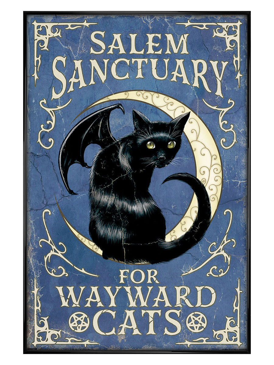 Salem Sanctuary For Wayward Cats Maxi Poster