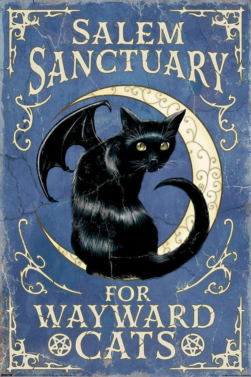Salem Sanctuary For Wayward Cats Maxi Poster
