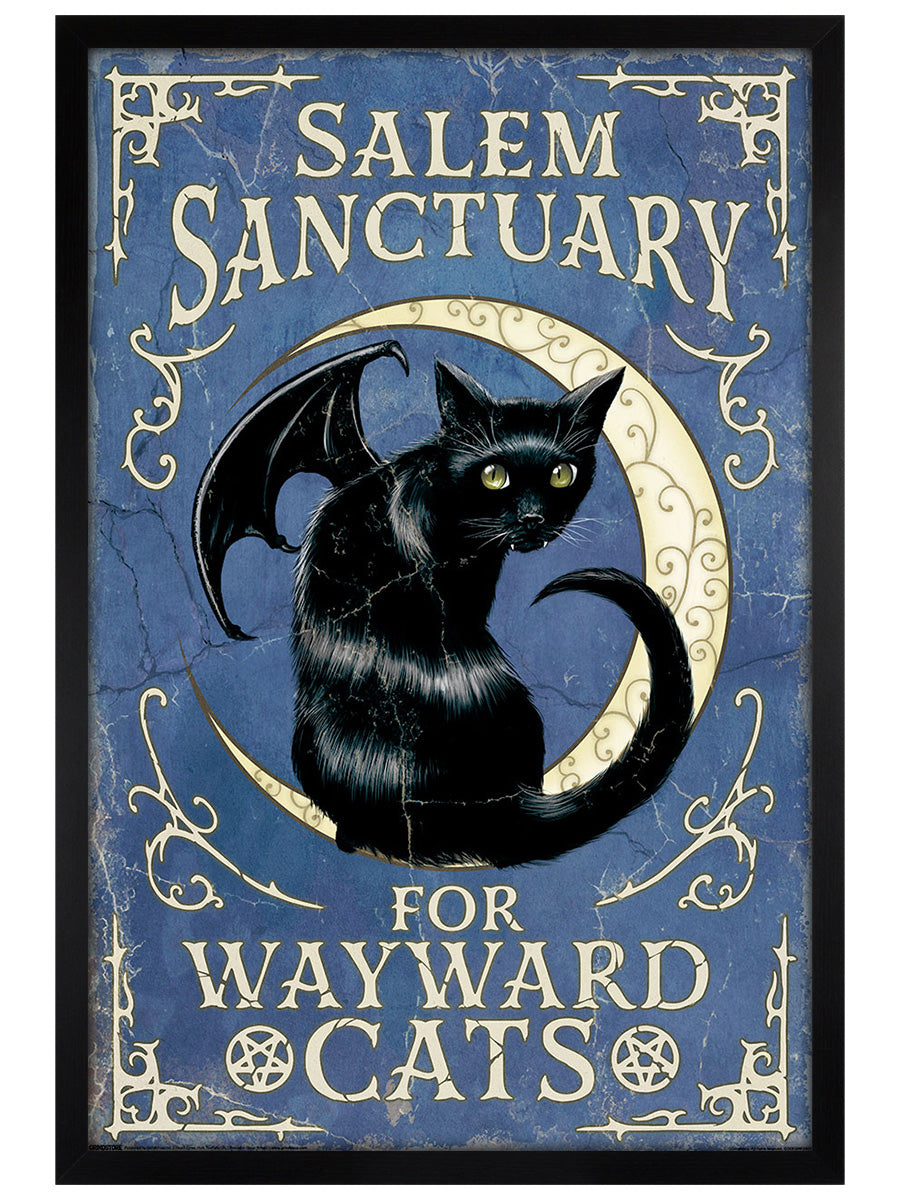 Salem Sanctuary For Wayward Cats Maxi Poster