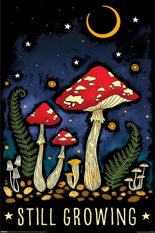 Magical Mushroom Still Growing Maxi Poster