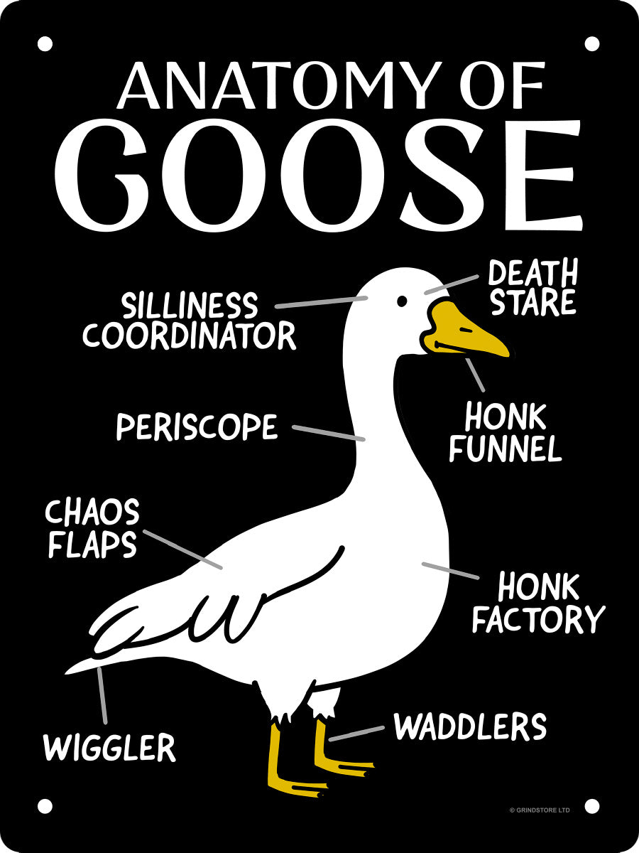 Silly Goose Anatomy Of A Goose Mini Tin Sign
