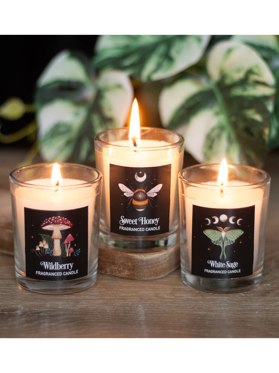 Dark Forest Votive Candle Trio