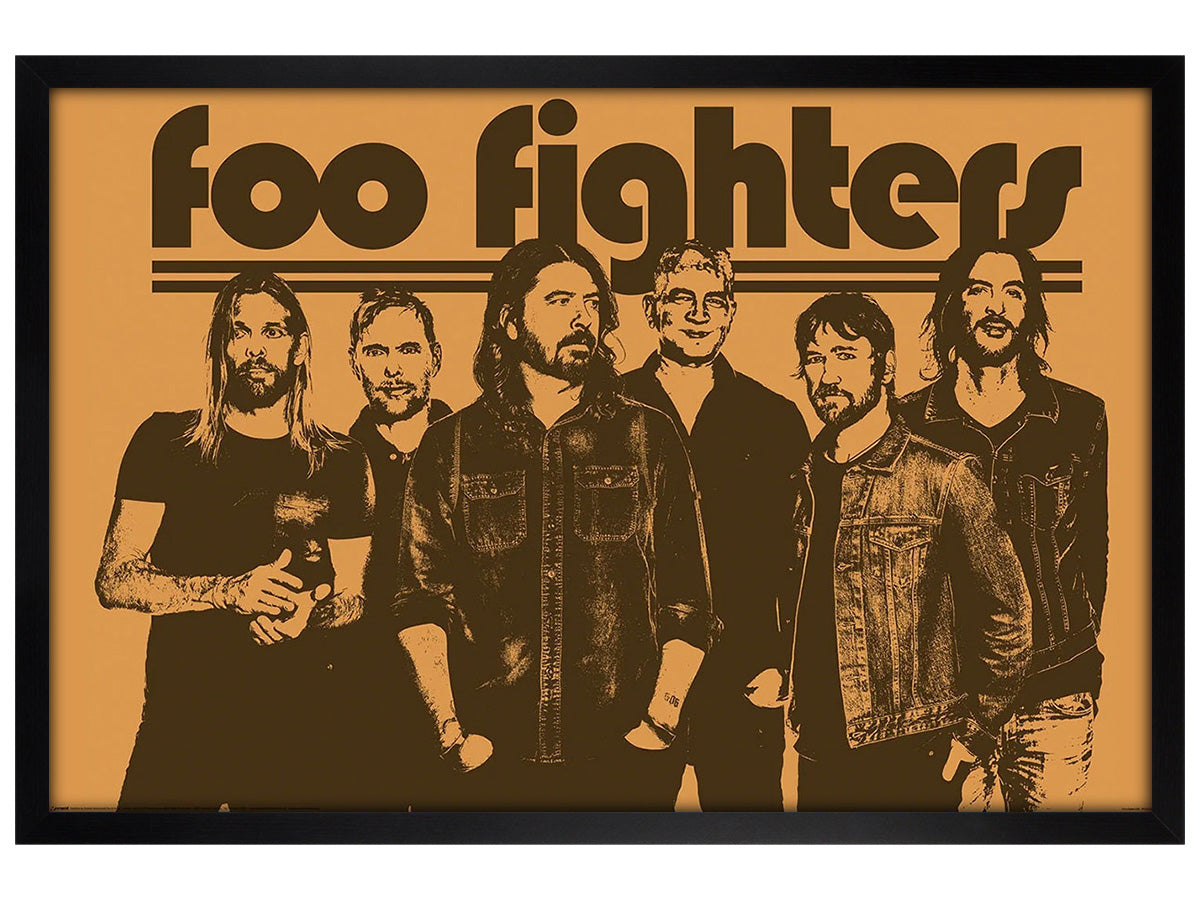 Foo Fighters (Group) Maxi Poster
