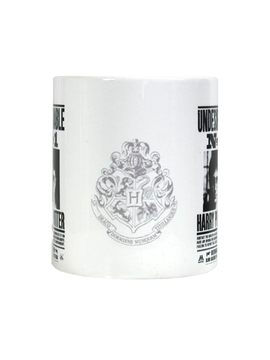 Harry Potter Undesirable No.1 Mug