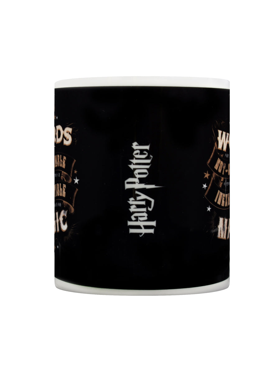 Harry Potter Source Of Magic Mug