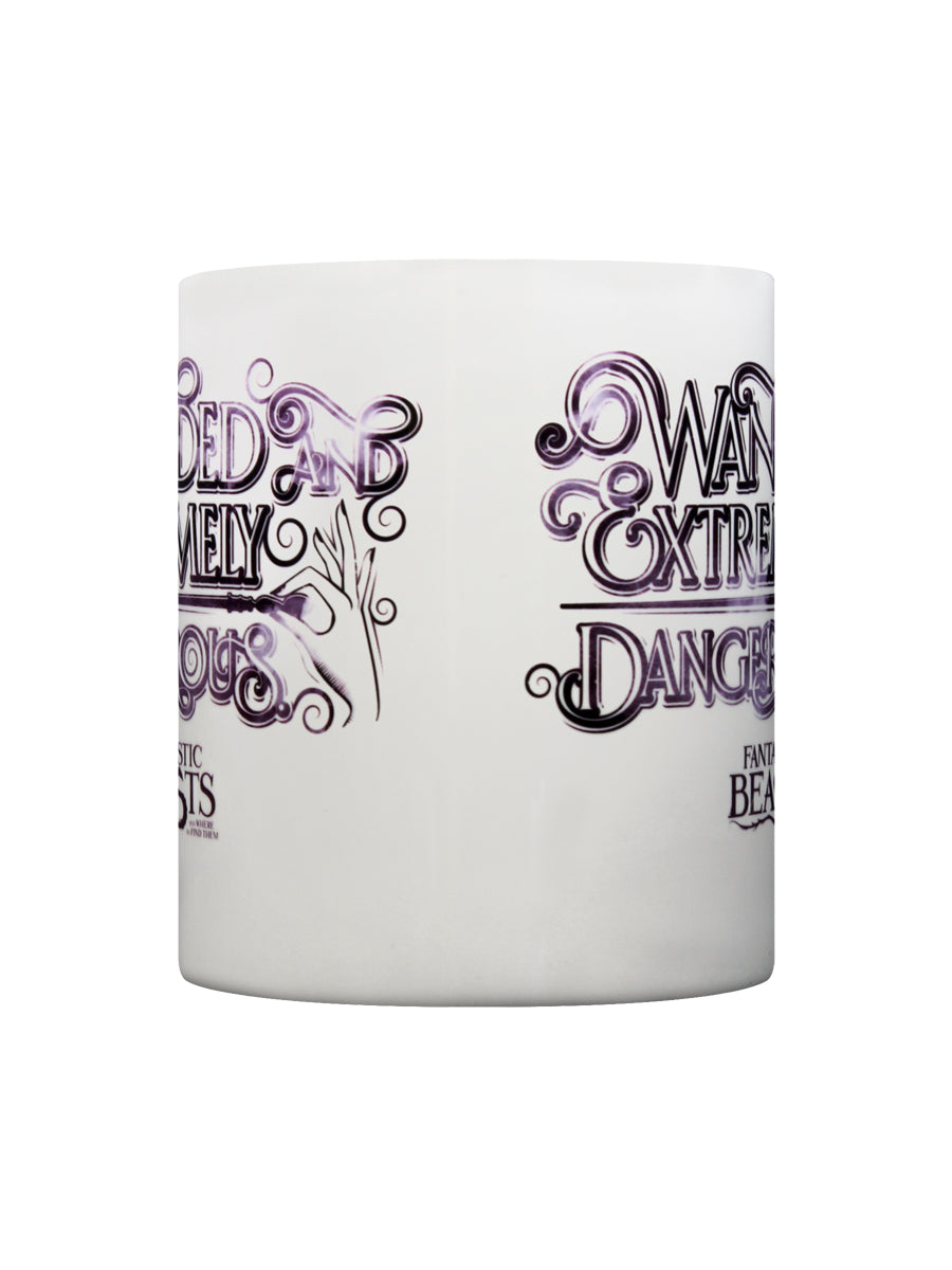 Fantastic Beasts Wanded Mug