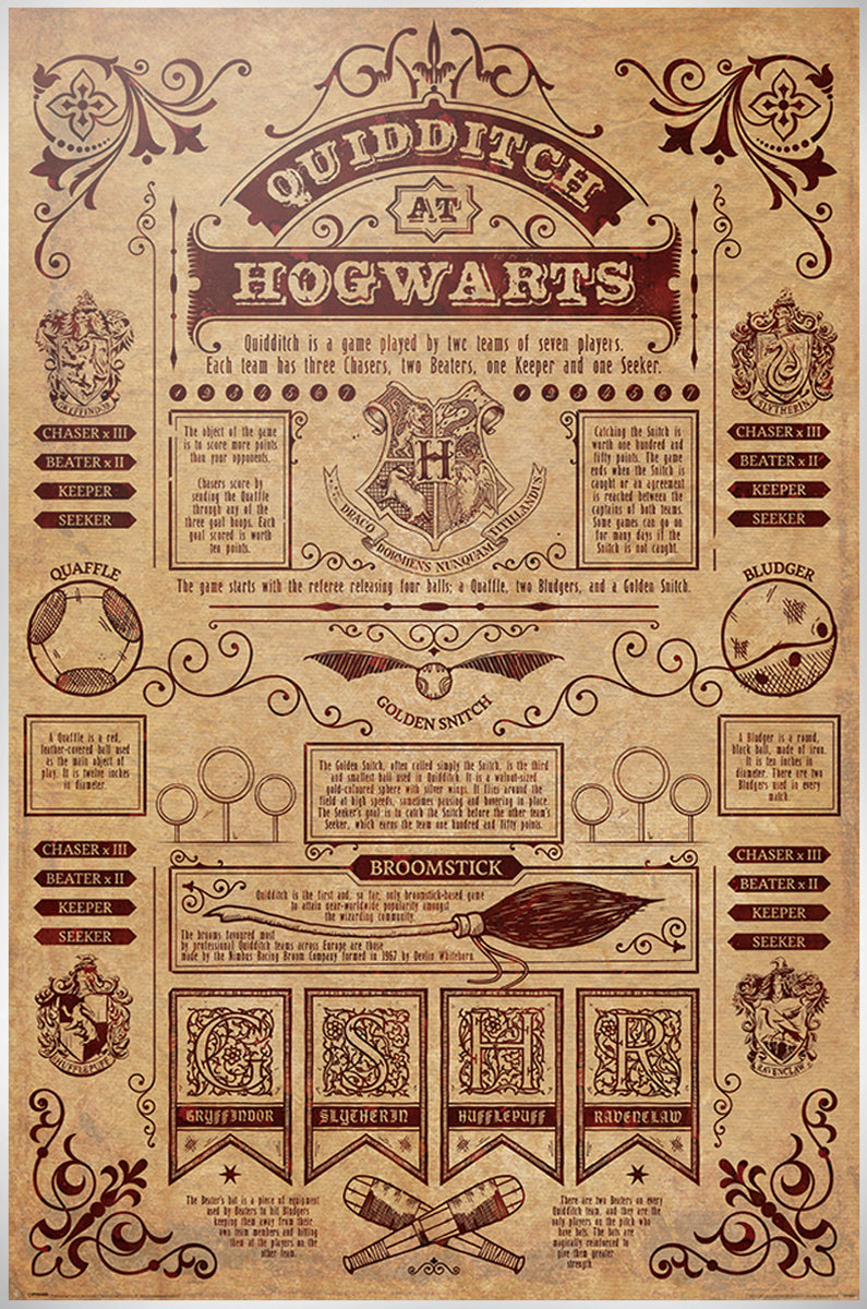 Harry Potter Quidditch At Hogwarts Maxi Poster