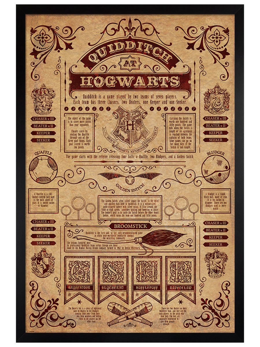Harry Potter Quidditch At Hogwarts Maxi Poster