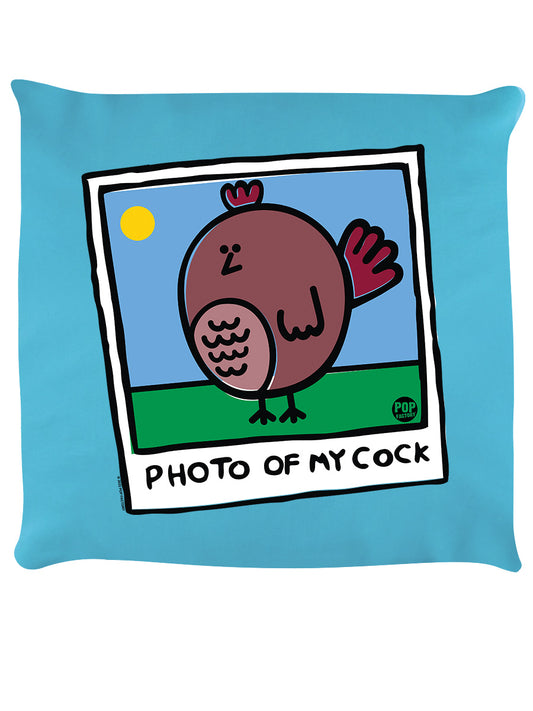 Pop Factory Photo Of My Cock Sky Blue Cushion