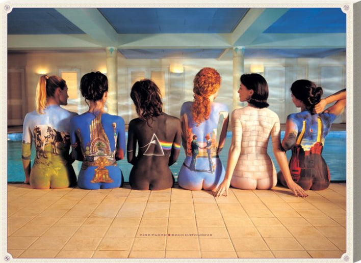 Pink Floyd Canvas Print - Back Catalogue