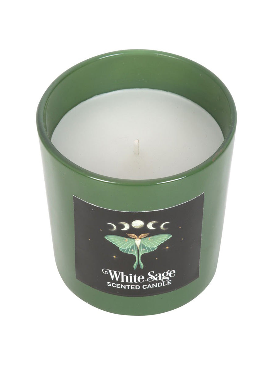 Luna Moth White Sage Candle