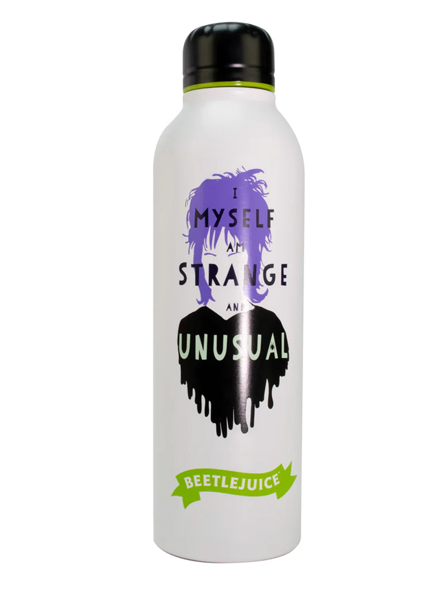 Beetelejuice Steel Water Bottle