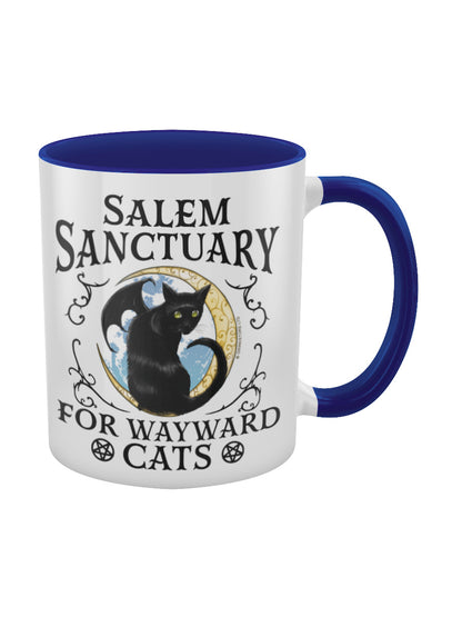 Salem Sanctuary For Wayward Cats Blue Inner 2-Tone Mug