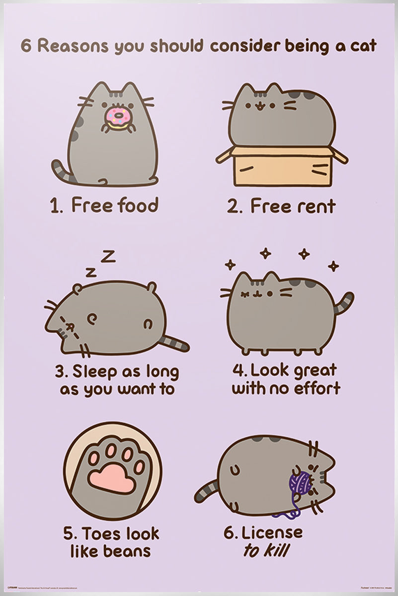 Pusheen Reasons To Be A Cat Poster