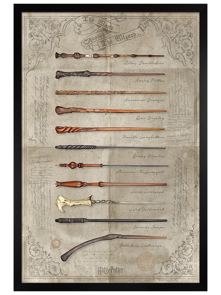 Harry Potter The Wand Chooses The Wizard Poster