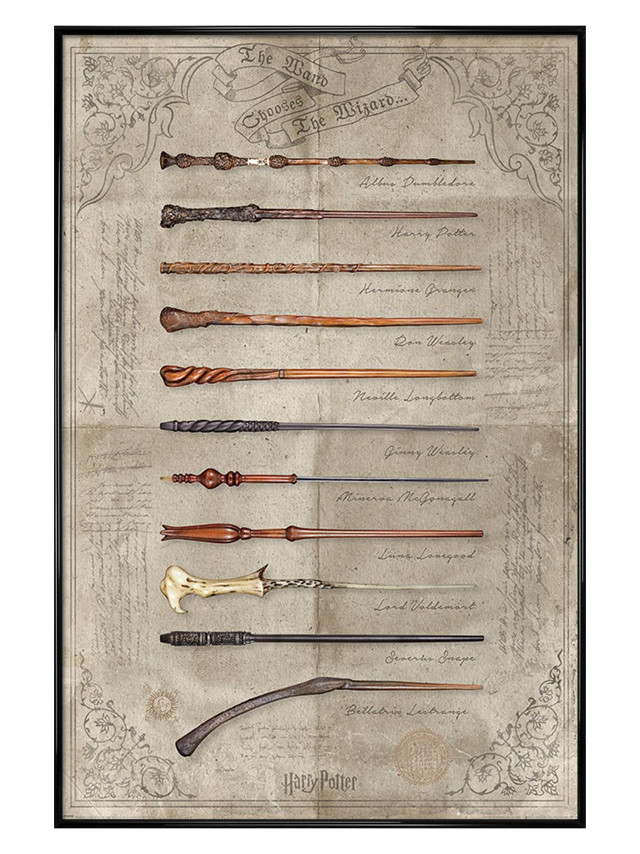 Harry Potter The Wand Chooses The Wizard Poster