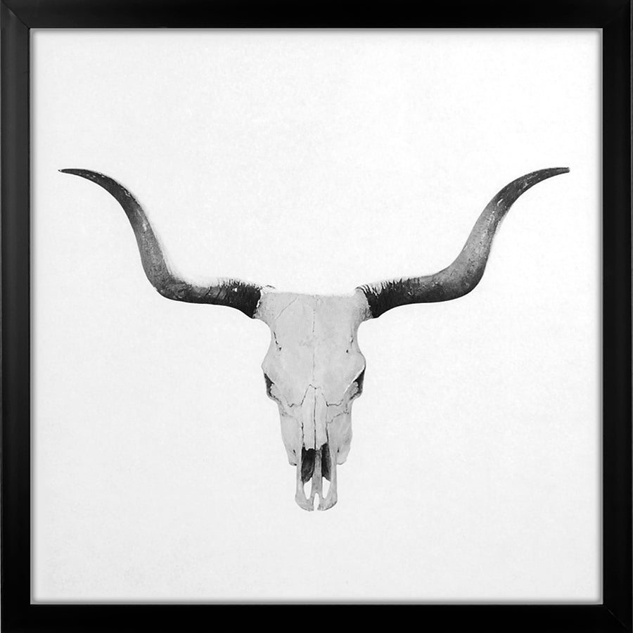 Antelope Skull Large Framed Canvas Print