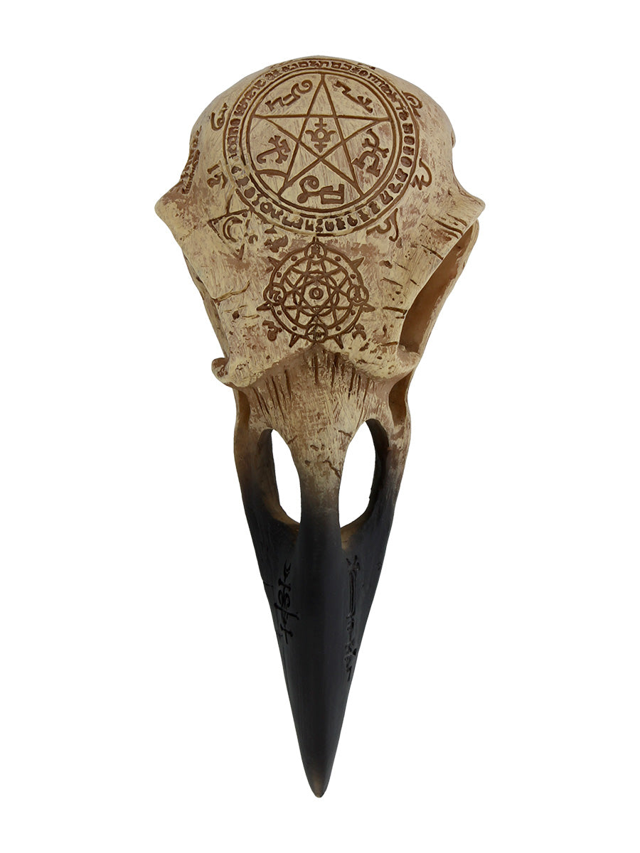 Alchemy Omega Raven Skull Ornament