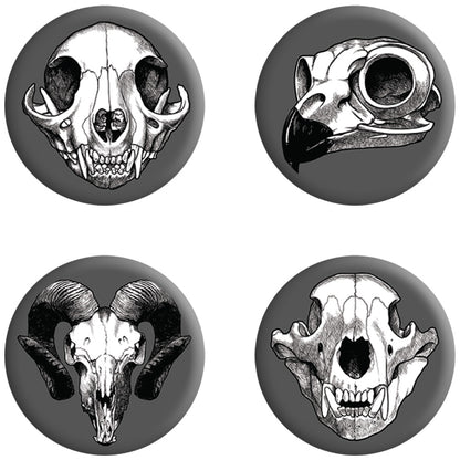 Calvaria Collection Badge Pack