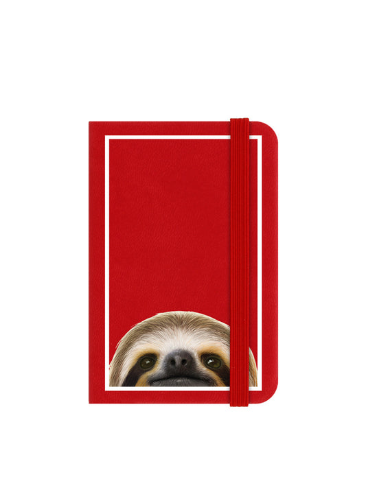 Inquisitive Creatures Sloth Mini Red Notebook