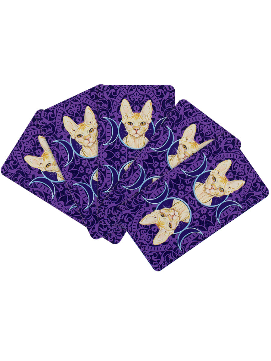 Pagan Cats Tarot Cards