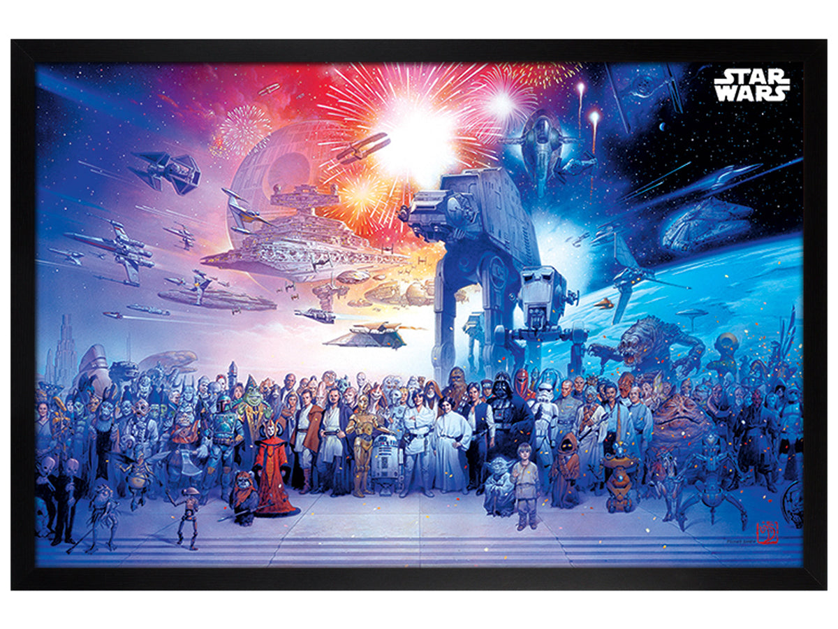Star Wars Universe Maxi Poster