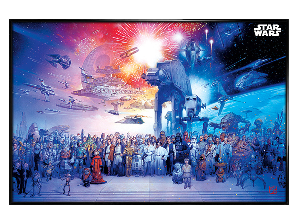 Star Wars Universe Maxi Poster