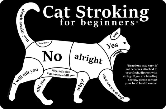 Cat Stroking For Beginners Greet Tin Card