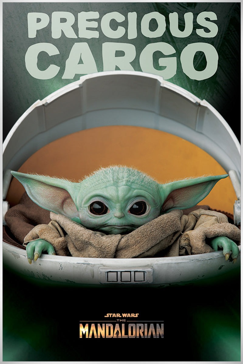 Star Wars: The Mandalorian (Precious Cargo) Maxi Poster