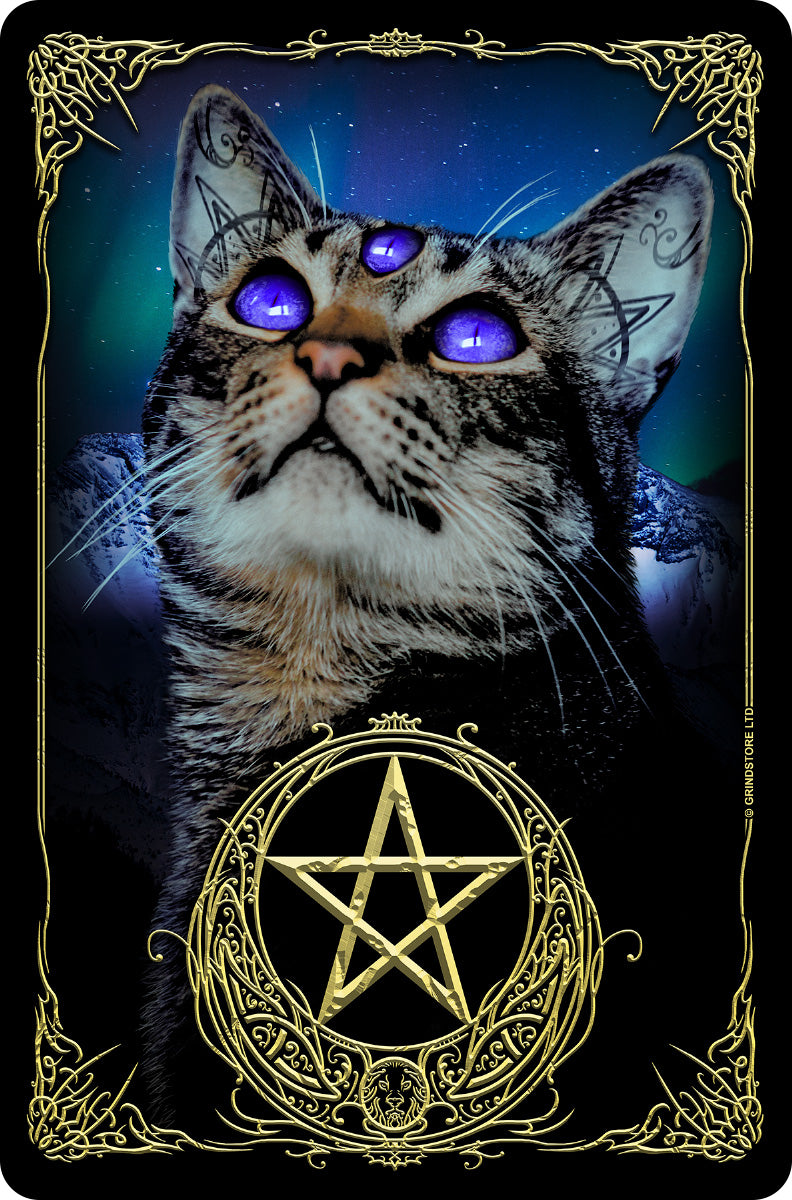 Witchy Familiar Greet Tin Card