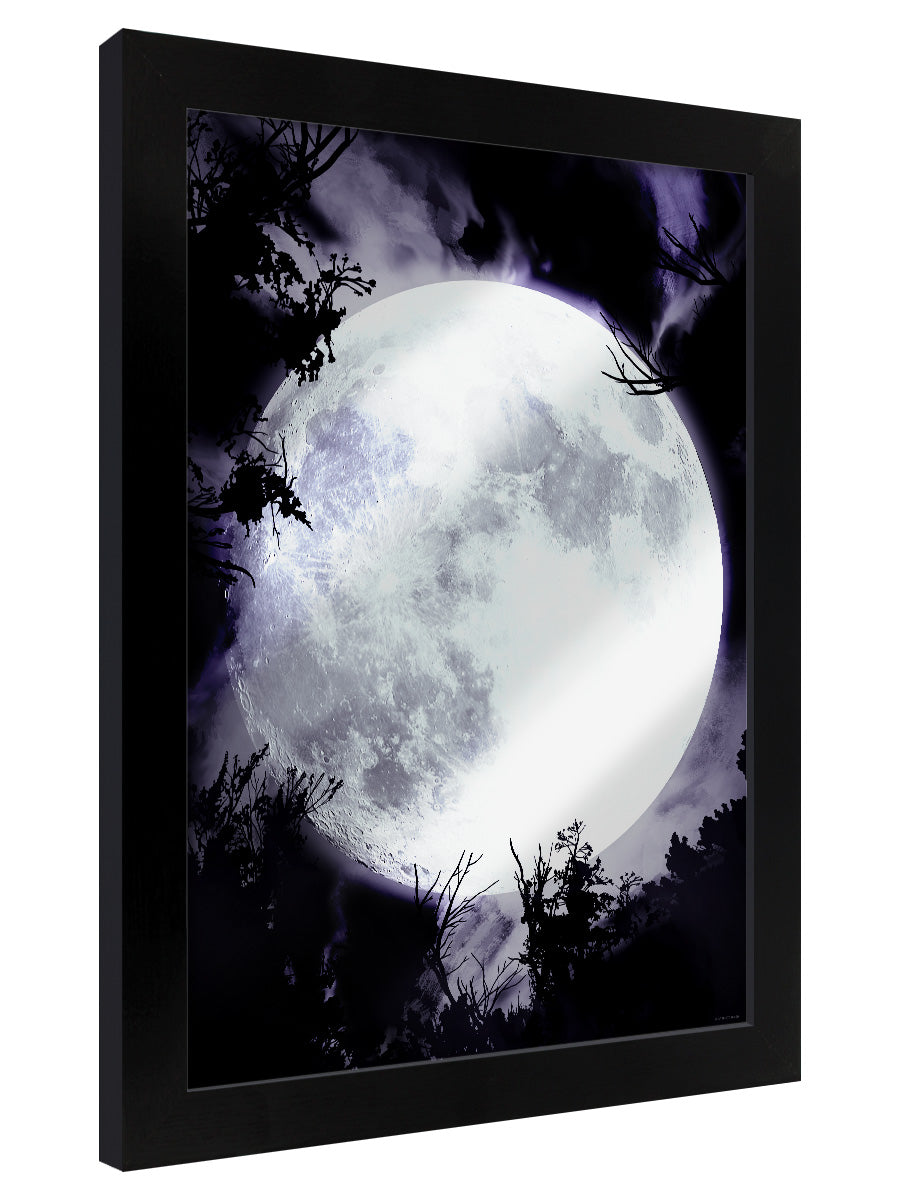 Framed Celestial Moon Mirrored Tin Sign